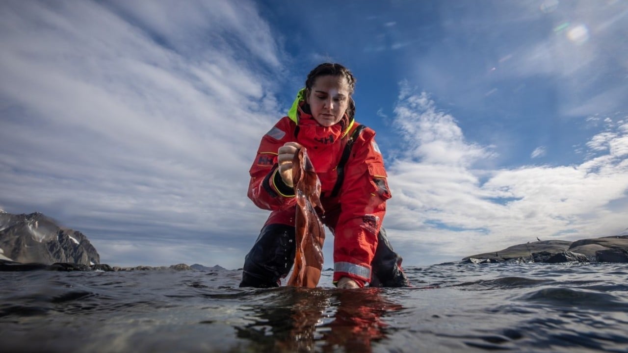 Foto - Türk bilim insanları Antarktika'da! Araştırmalarıyla sağlık ve tarıma ışık tutuyorlar