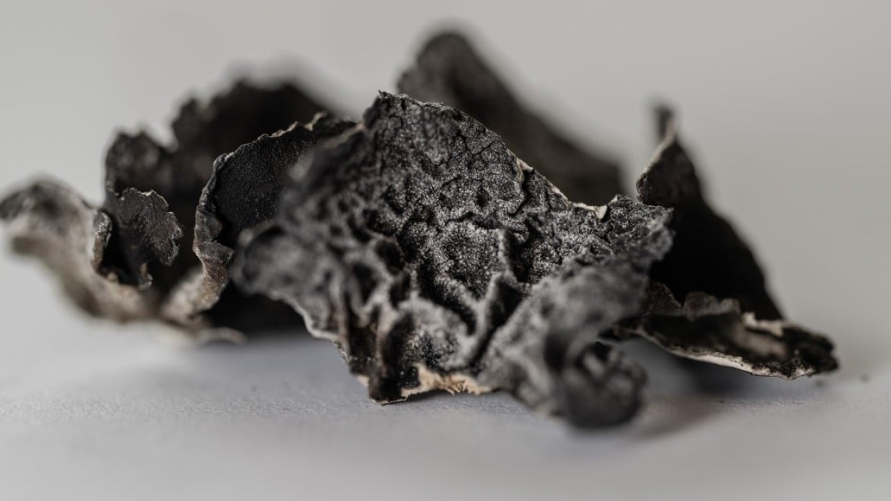 Foto - Türk bilim insanları Antarktika'da! Araştırmalarıyla sağlık ve tarıma ışık tutuyorlar