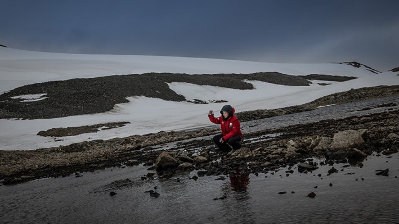 Foto - Türk bilim insanları Antarktika'da dünya için çözüm peşinde Beyaz Kıta'da yanıt arıyoruz