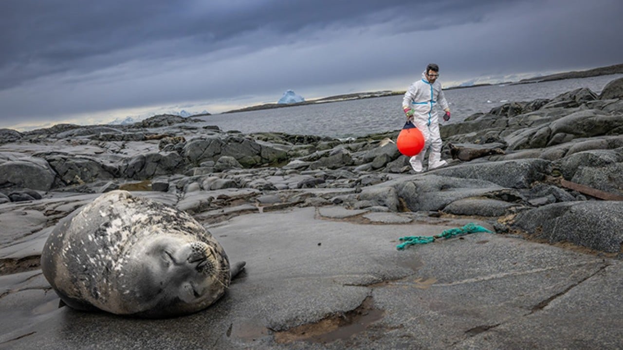 Foto - Türk bilim insanları Antarktika'da dünya için çözüm peşinde Beyaz Kıta'da yanıt arıyoruz