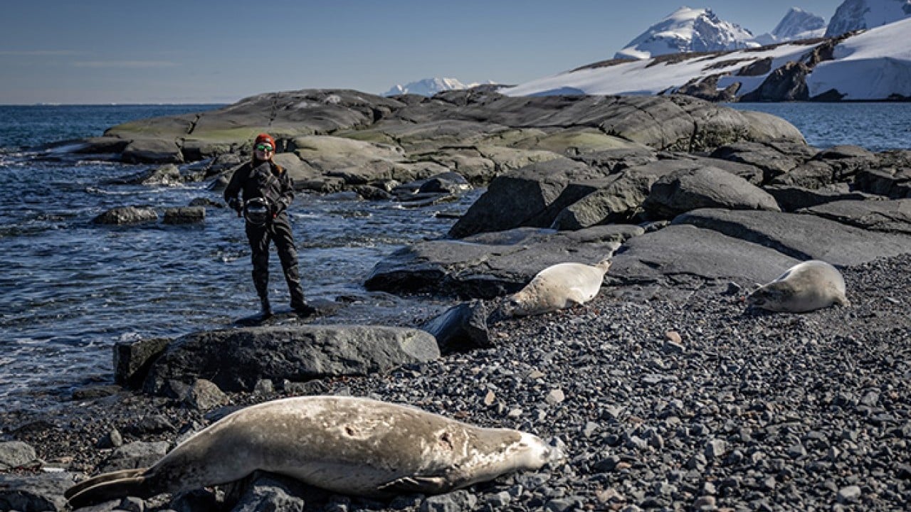 Foto - Türk bilim insanları Antarktika'da dünya için çözüm peşinde Beyaz Kıta'da yanıt arıyoruz