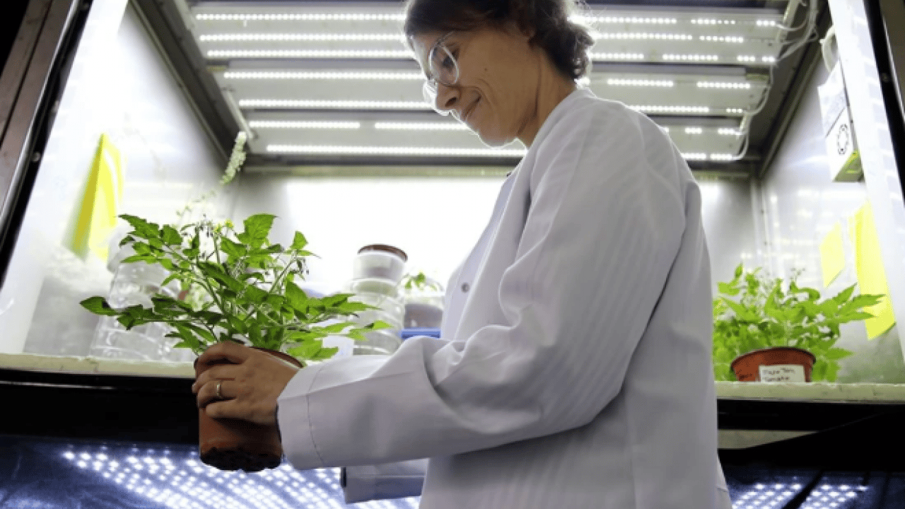 Foto - Türk bilim kadını dünyanın sınırlarını aştı: Uzay tarımının temellerini atıyor