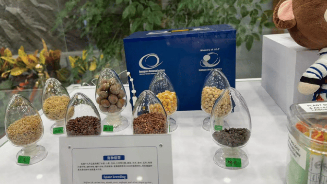 Foto - Türk bilim kadını dünyanın sınırlarını aştı: Uzay tarımının temellerini atıyor