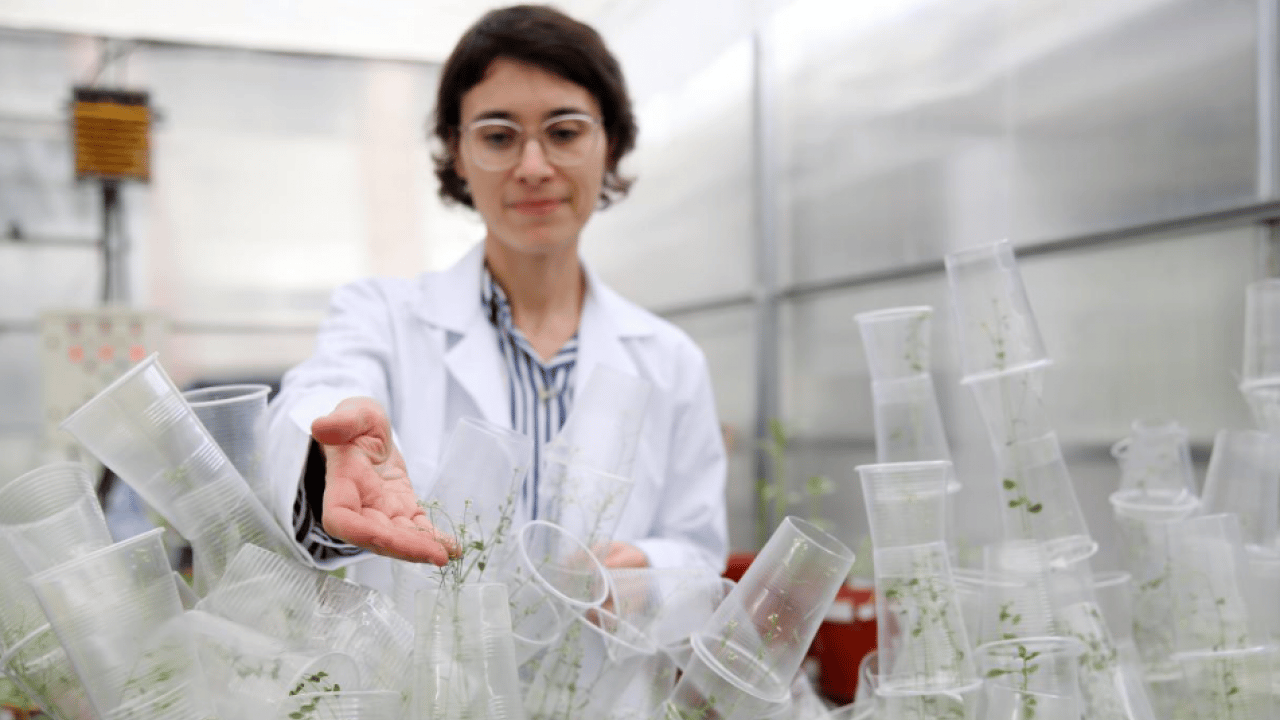 Foto - Türk bilim kadını dünyanın sınırlarını aştı: Uzay tarımının temellerini atıyor