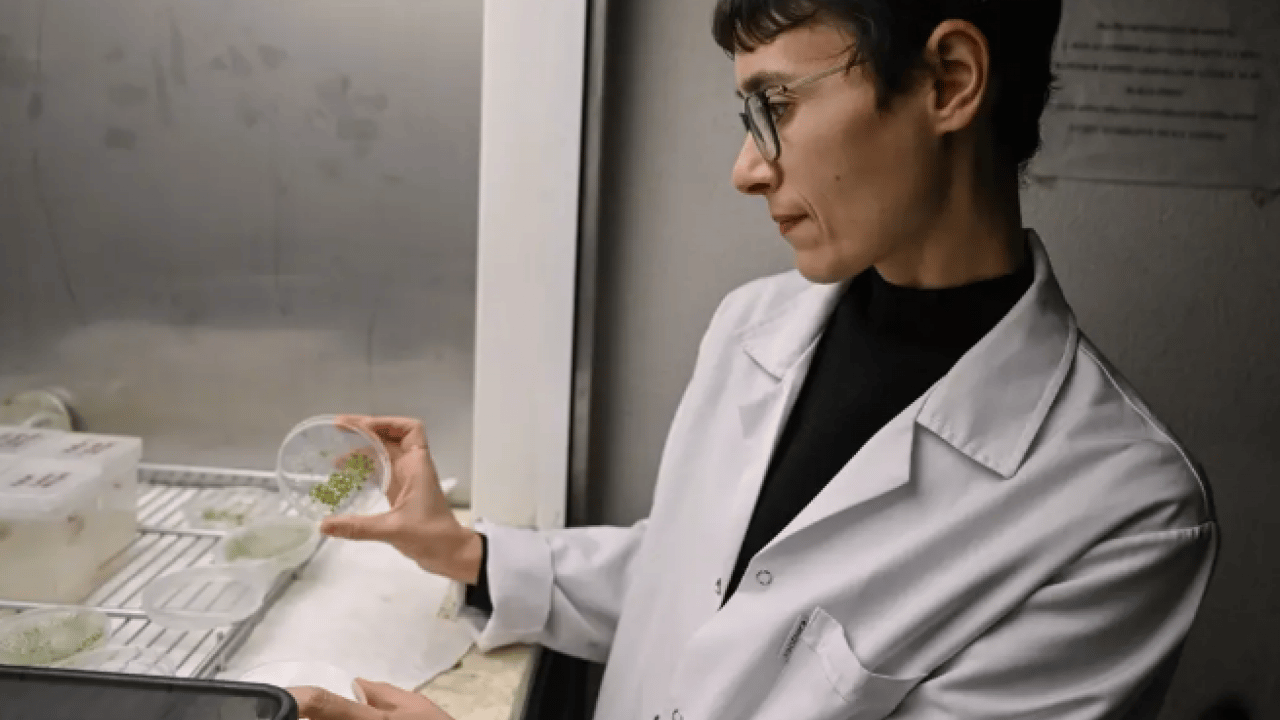 Foto - Türk bilim kadını dünyanın sınırlarını aştı: Uzay tarımının temellerini atıyor