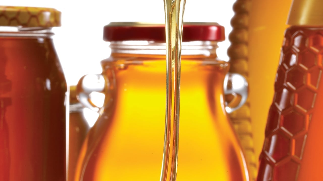 Foto - Türk çam balı, Manuka balının tahtına göz dikti! Dünyanın yüzde 90’ını üretiyoruz ama 18’inciyiz!