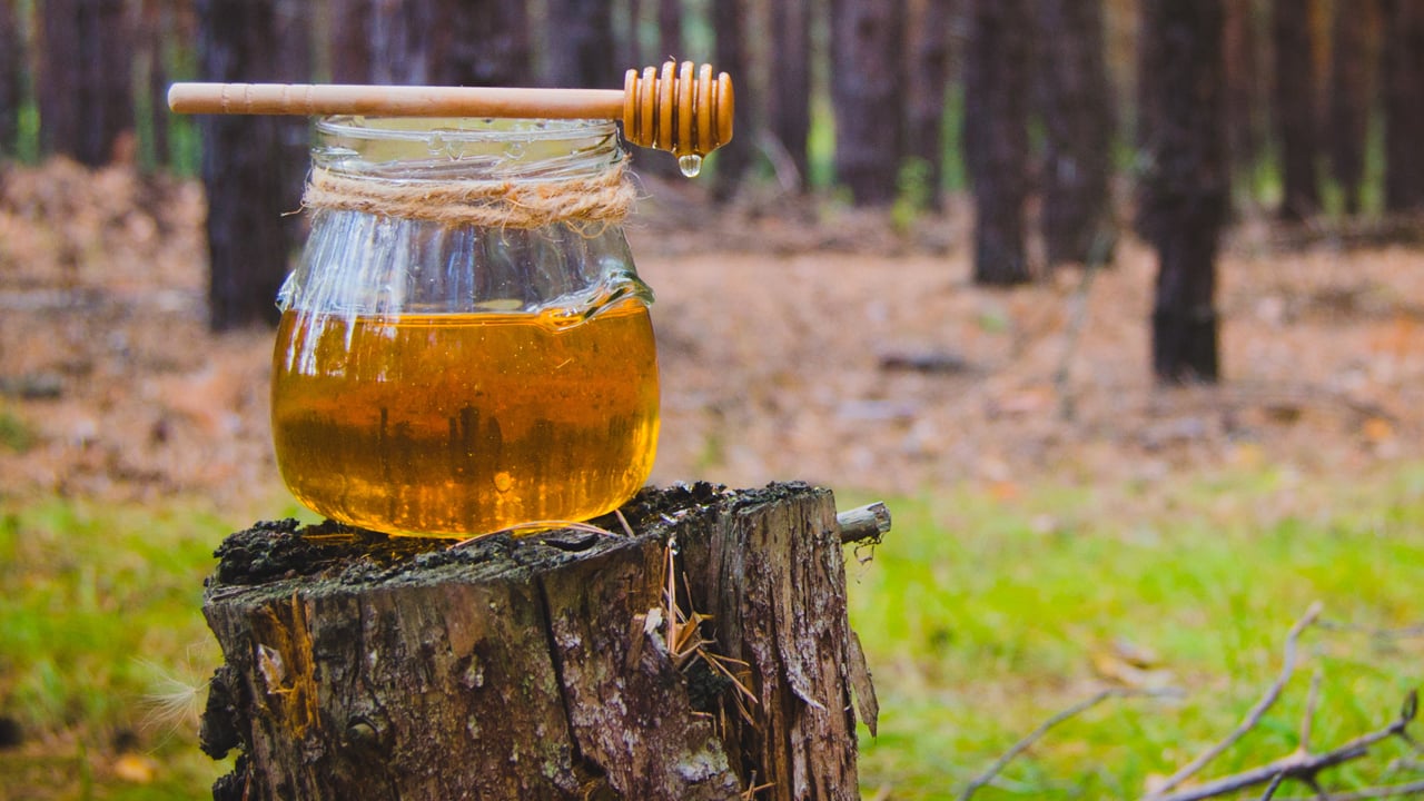 Foto - Türk çam balı, Manuka balının tahtına göz dikti! Dünyanın yüzde 90’ını üretiyoruz ama 18’inciyiz!
