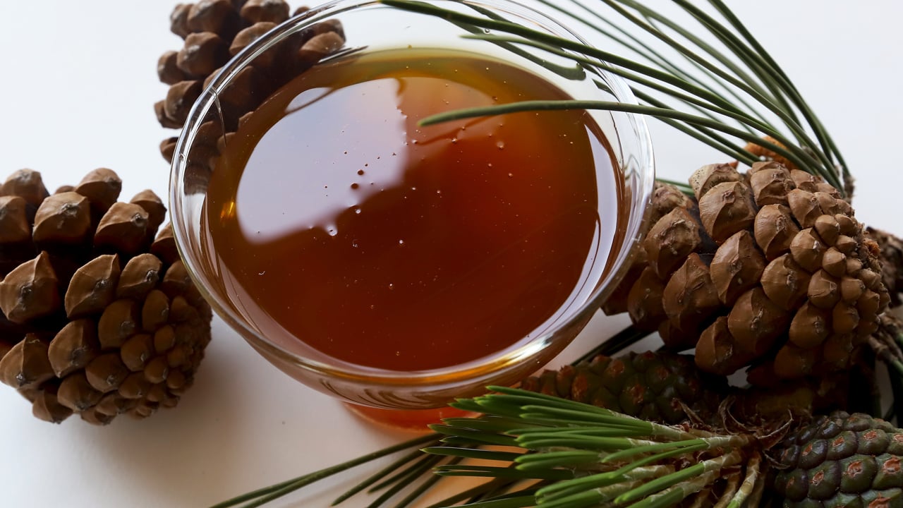 Türk çam balı, Manuka balının tahtına göz dikti! Dünyanın yüzde 90’ını üretiyoruz ama 18’inciyiz!