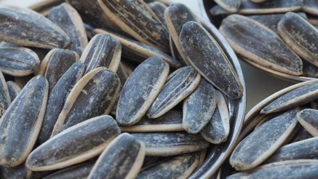 Foto - Türk çekirdek markası acil olarak market raflarından toplatılıyor: Küf zehri tespit edildi