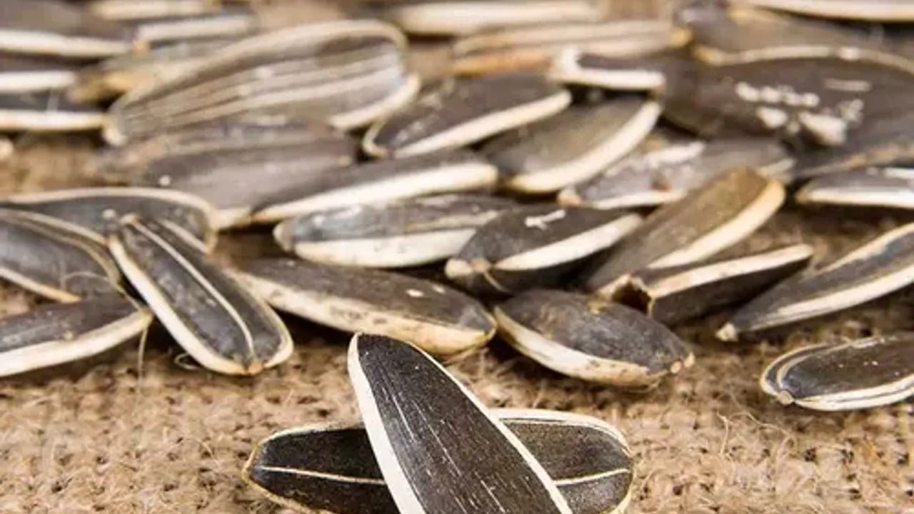 Foto - Türk çekirdek markası acil olarak market raflarından toplatılıyor: Küf zehri tespit edildi