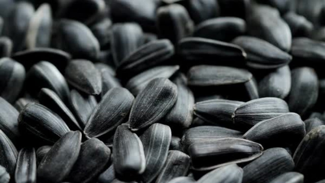 Foto - Türk çekirdek markası acil olarak market raflarından toplatılıyor: Küf zehri tespit edildi