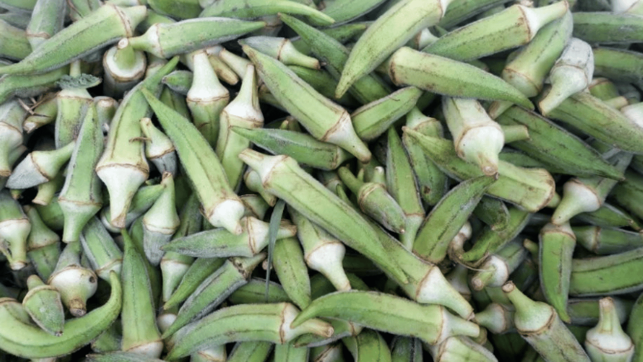 Foto - Türk mutfağının geleneksel lezzeti! İşte bamyanın bilinmeyen faydaları