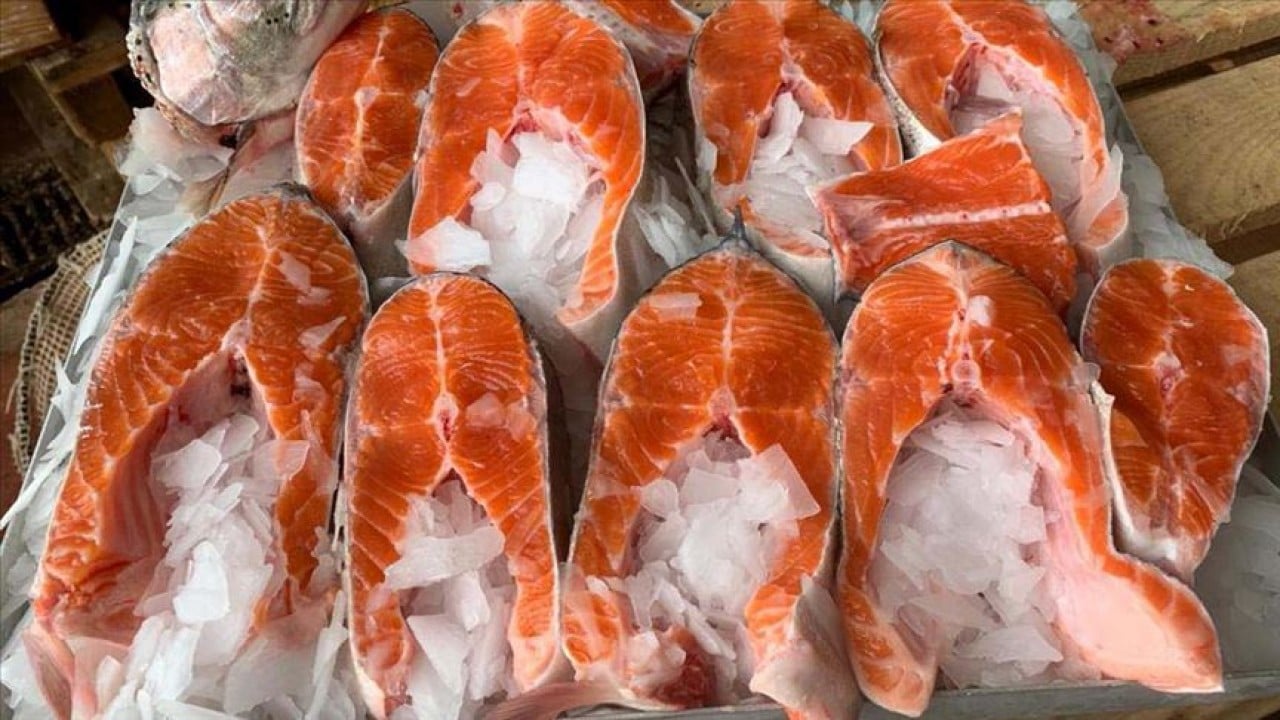 Foto - Türk somonu 34 ülkede alıcı buldu! İhracatı 2025'te 520 milyon doları aştı