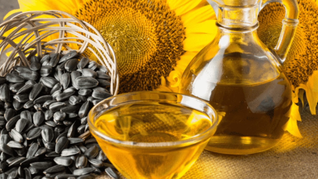 Foto - Türkiye dünya lideri oldu: İhracat 1 milyar dolara yaklaştı!