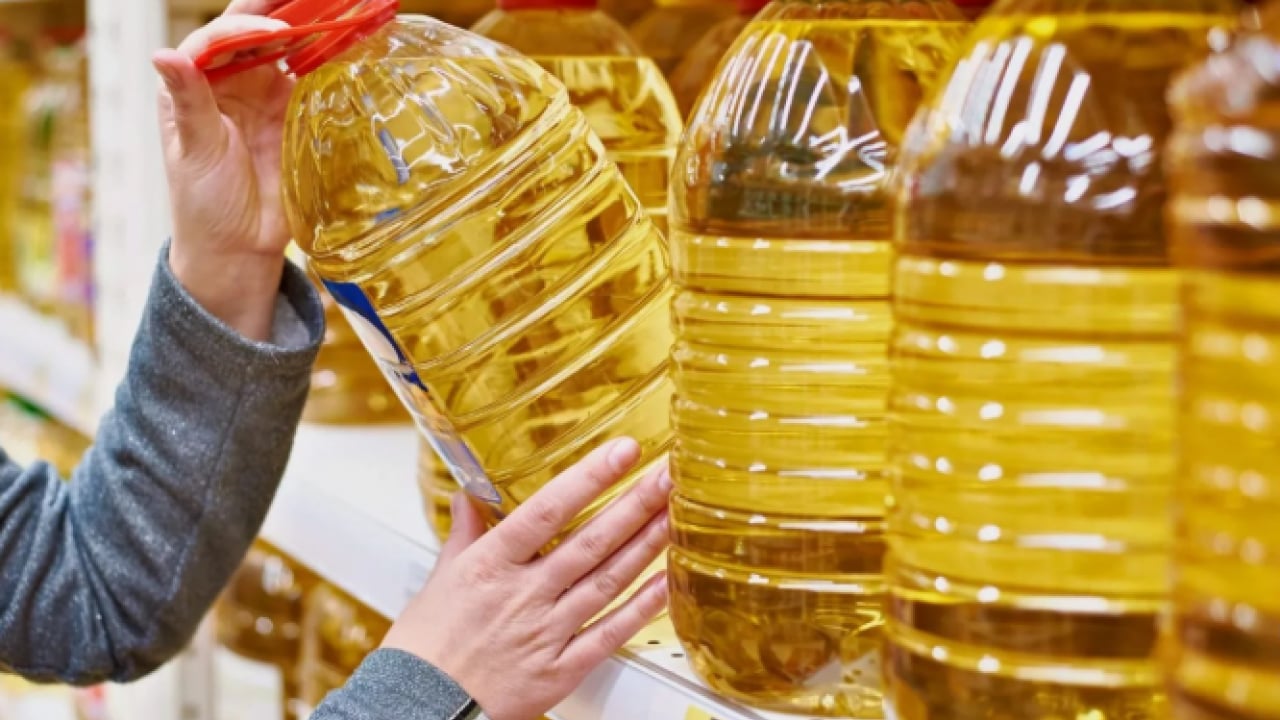 Foto - Türkiye dünya lideri oldu: İhracat 1 milyar dolara yaklaştı!