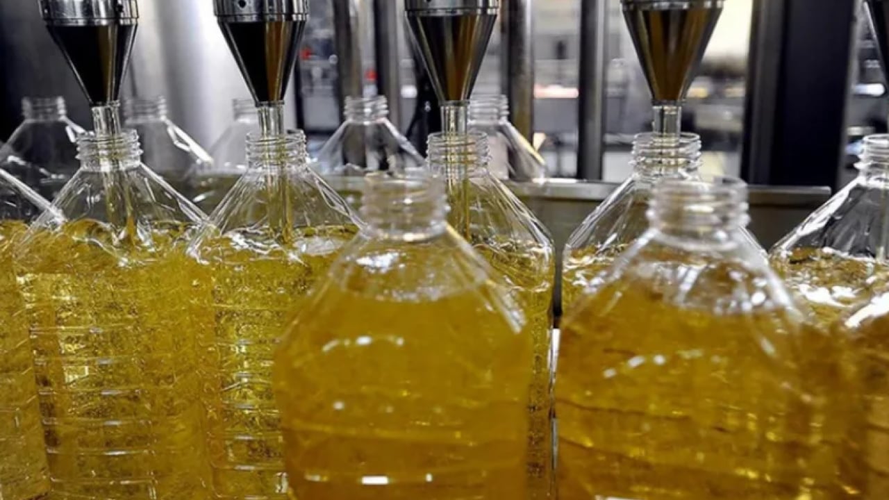 Foto - Türkiye dünya lideri oldu: İhracat 1 milyar dolara yaklaştı!