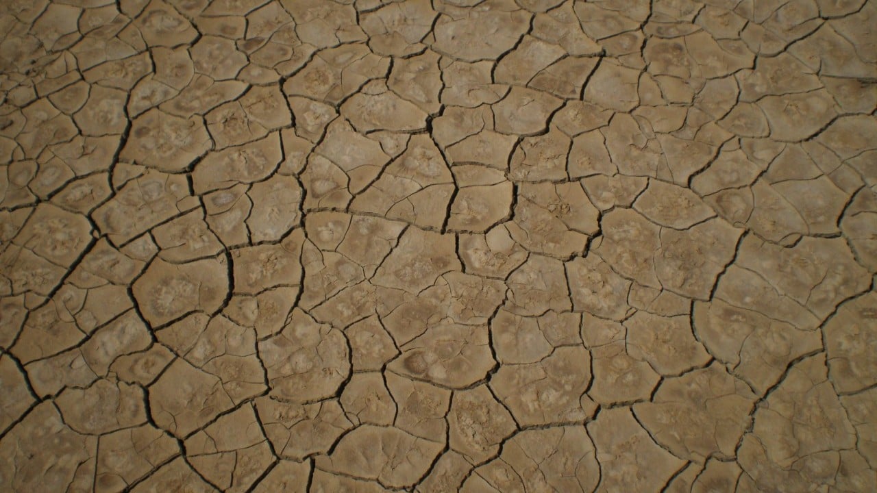 Foto - Türkiye için tehlike çanları çalıyor: Kayıp yüzde 85'e yükseldi