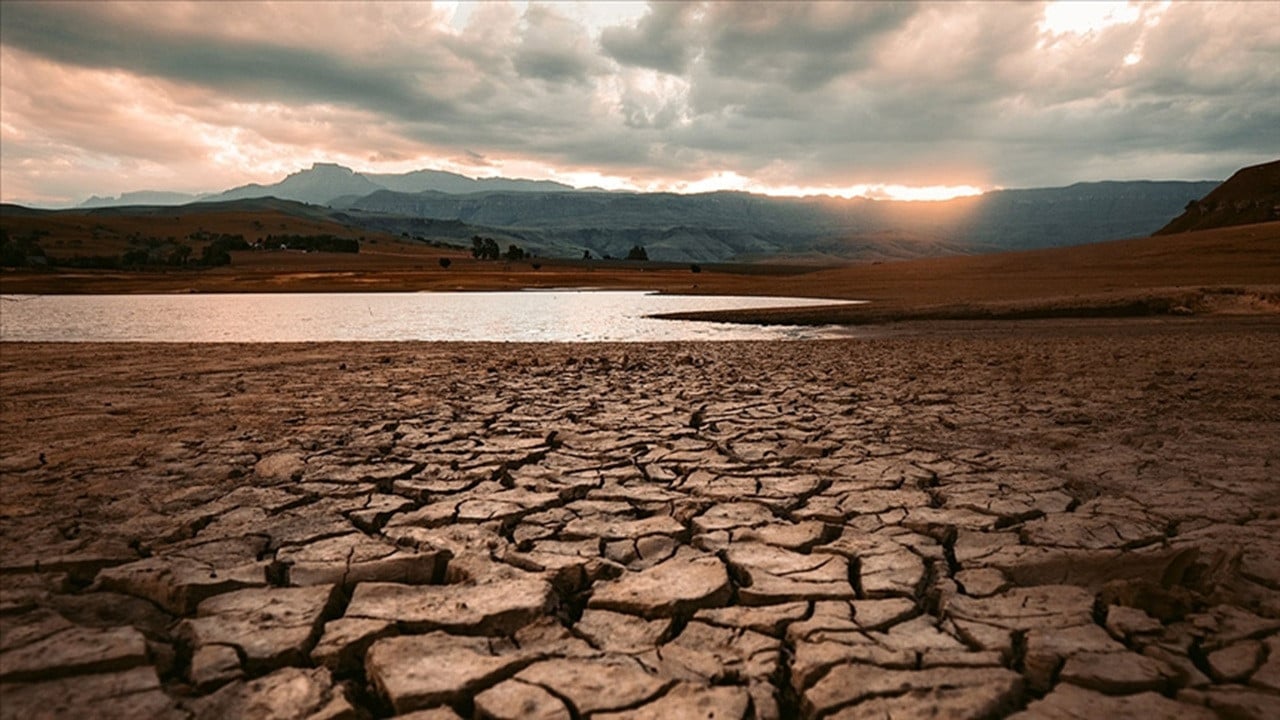 Foto - Türkiye için tehlike çanları çalıyor: Kayıp yüzde 85'e yükseldi