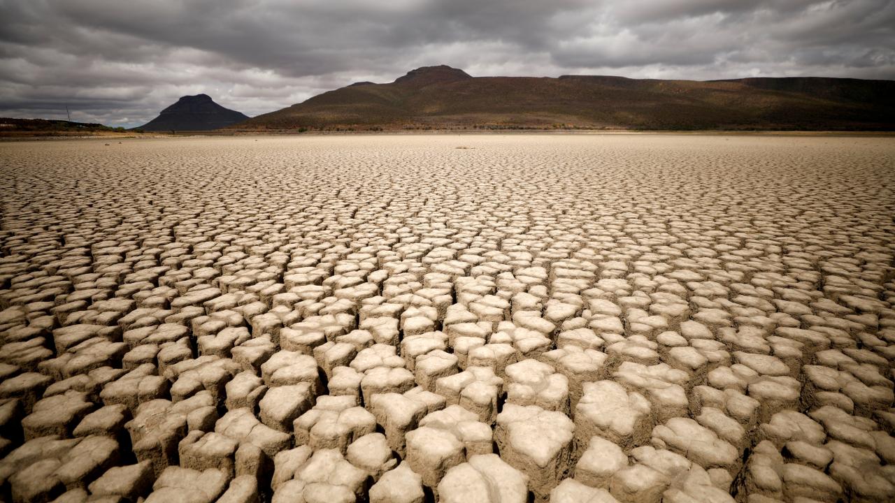 Foto - Türkiye için tehlike çanları çalıyor: Kayıp yüzde 85'e yükseldi