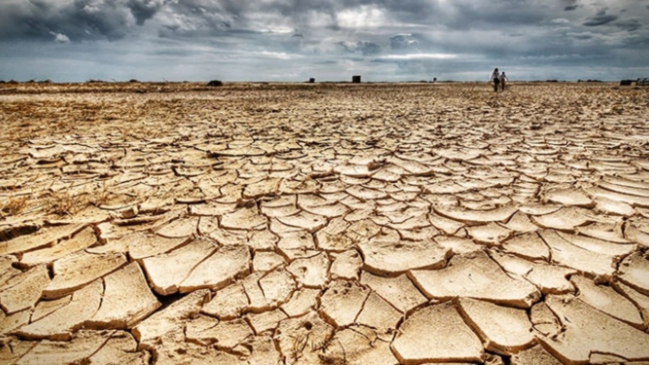 Foto - Türkiye için tehlike çanları çalıyor: Kayıp yüzde 85'e yükseldi