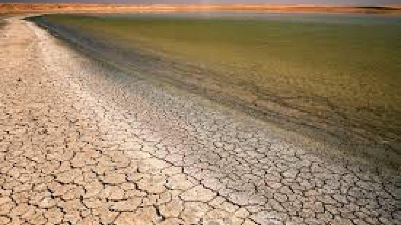 Foto - Türkiye için tehlike çanları çalıyor: Kayıp yüzde 85'e yükseldi