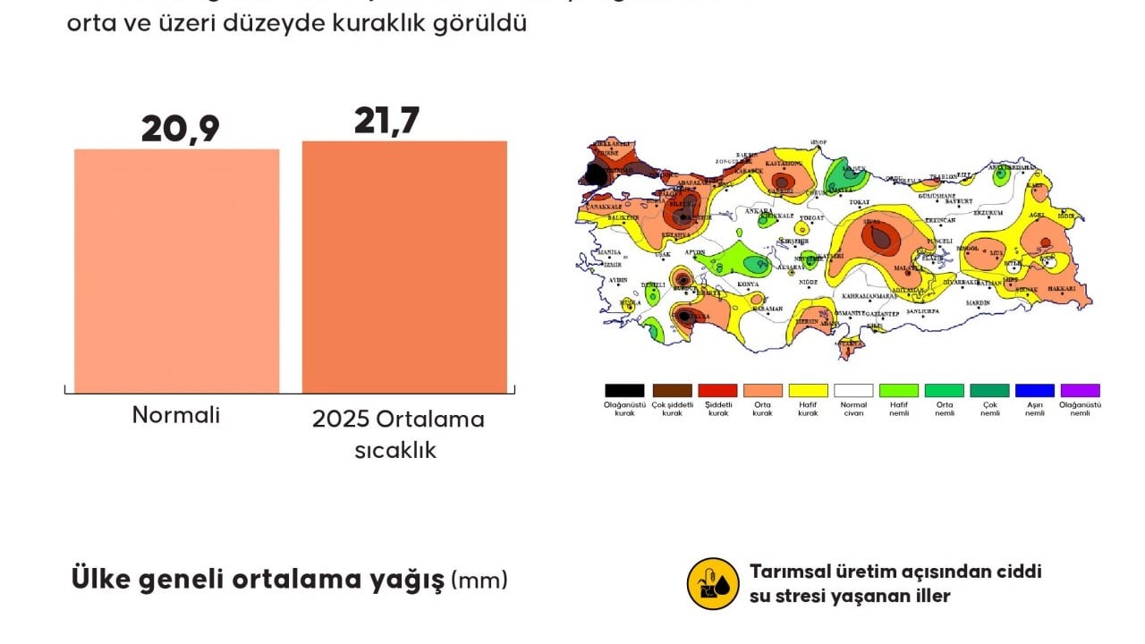 Foto - Türkiye için tehlike çanları çalıyor: Kayıp yüzde 85'e yükseldi