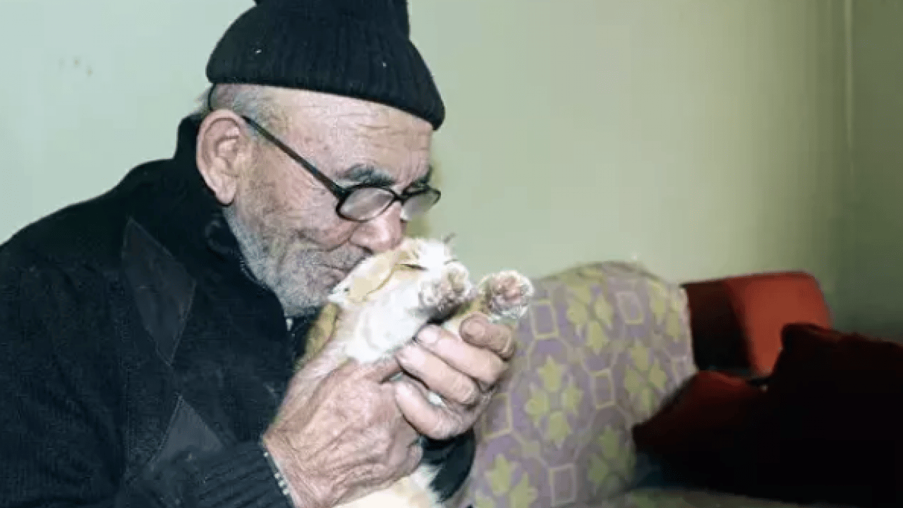 Foto - Türkiye onu kedisine sarılarak ağladığı bu fotoğrafla tanımıştı! Merhametin simgesi ‘Ali Dede’ hayatını kaybetti