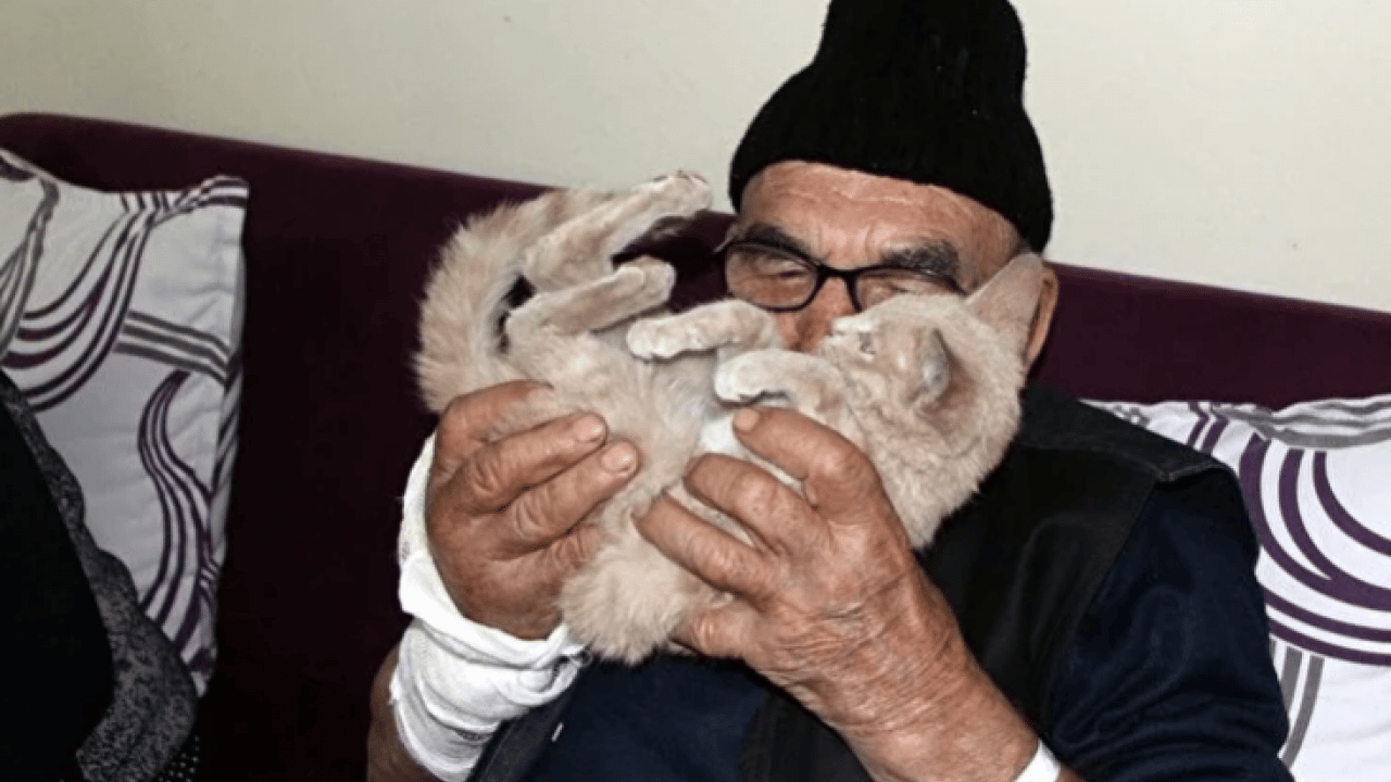 Foto - Türkiye onu kedisine sarılarak ağladığı bu fotoğrafla tanımıştı! Merhametin simgesi ‘Ali Dede’ hayatını kaybetti