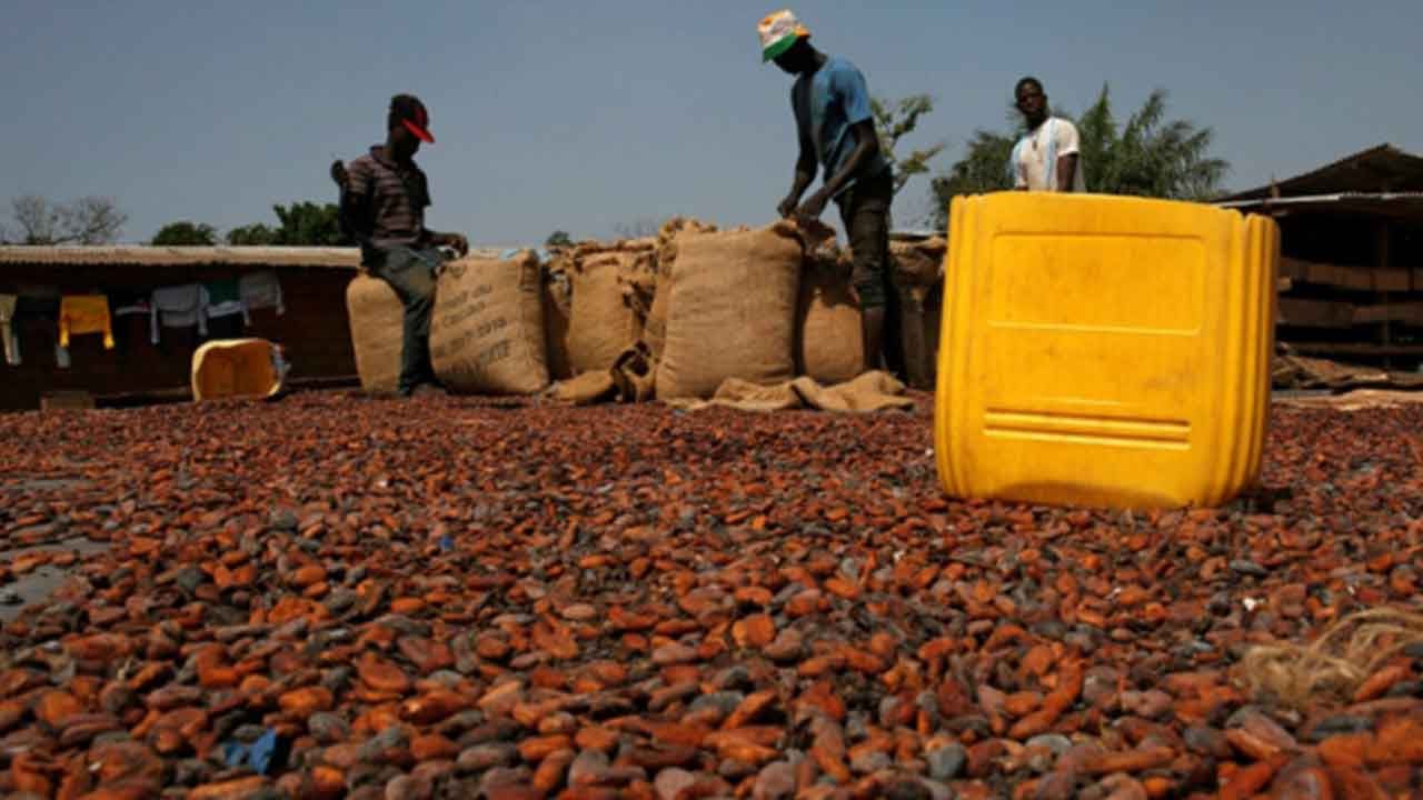 Foto - Türkiye resmen hazine buldu! Yetiştirmediği üründen 1,7 milyar dolar kazandı
