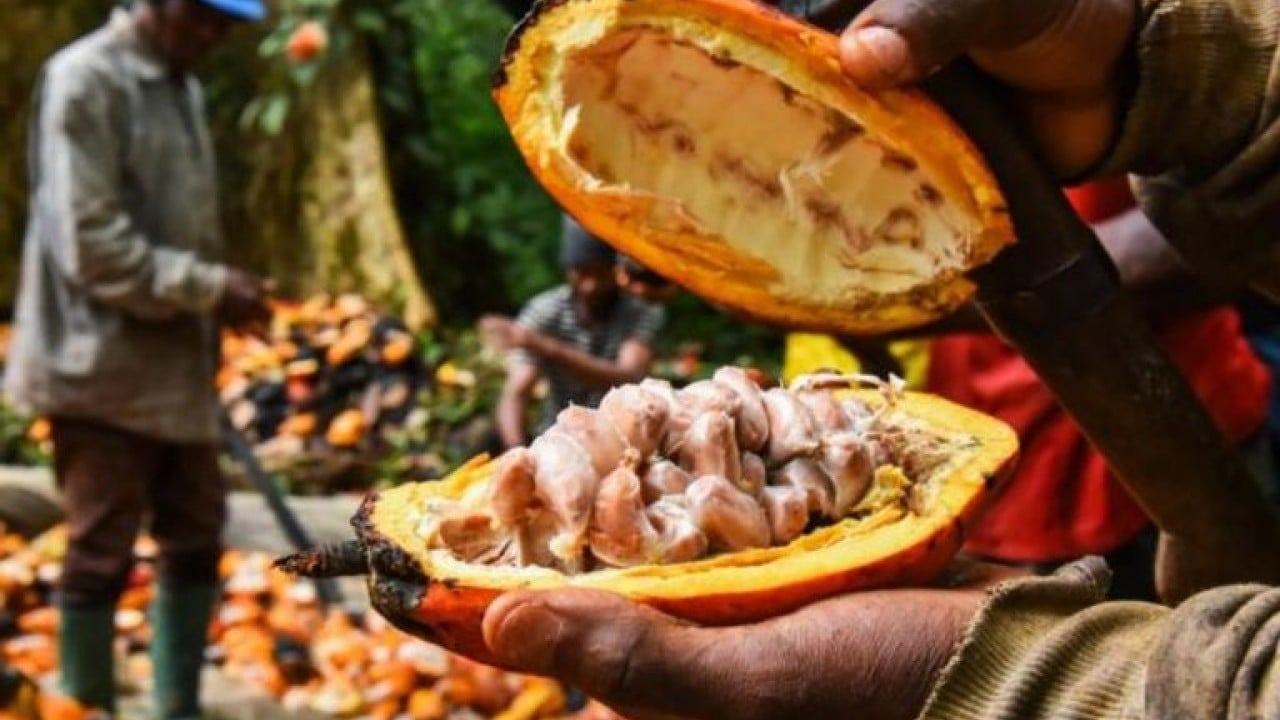 Foto - Türkiye resmen hazine buldu! Yetiştirmediği üründen 1,7 milyar dolar kazandı