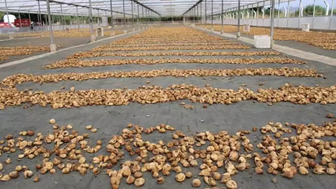 Foto - Türkiye sattı! Bulgaristan kapıdan geri çevirdi, 'bunu almayız' dedi