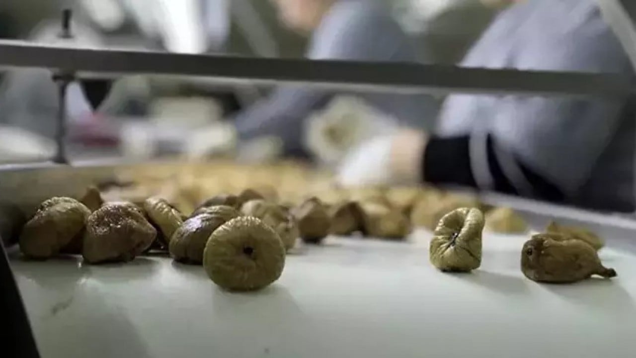 Foto - Türkiye sattı! Bulgaristan kapıdan geri çevirdi, 'bunu almayız' dedi