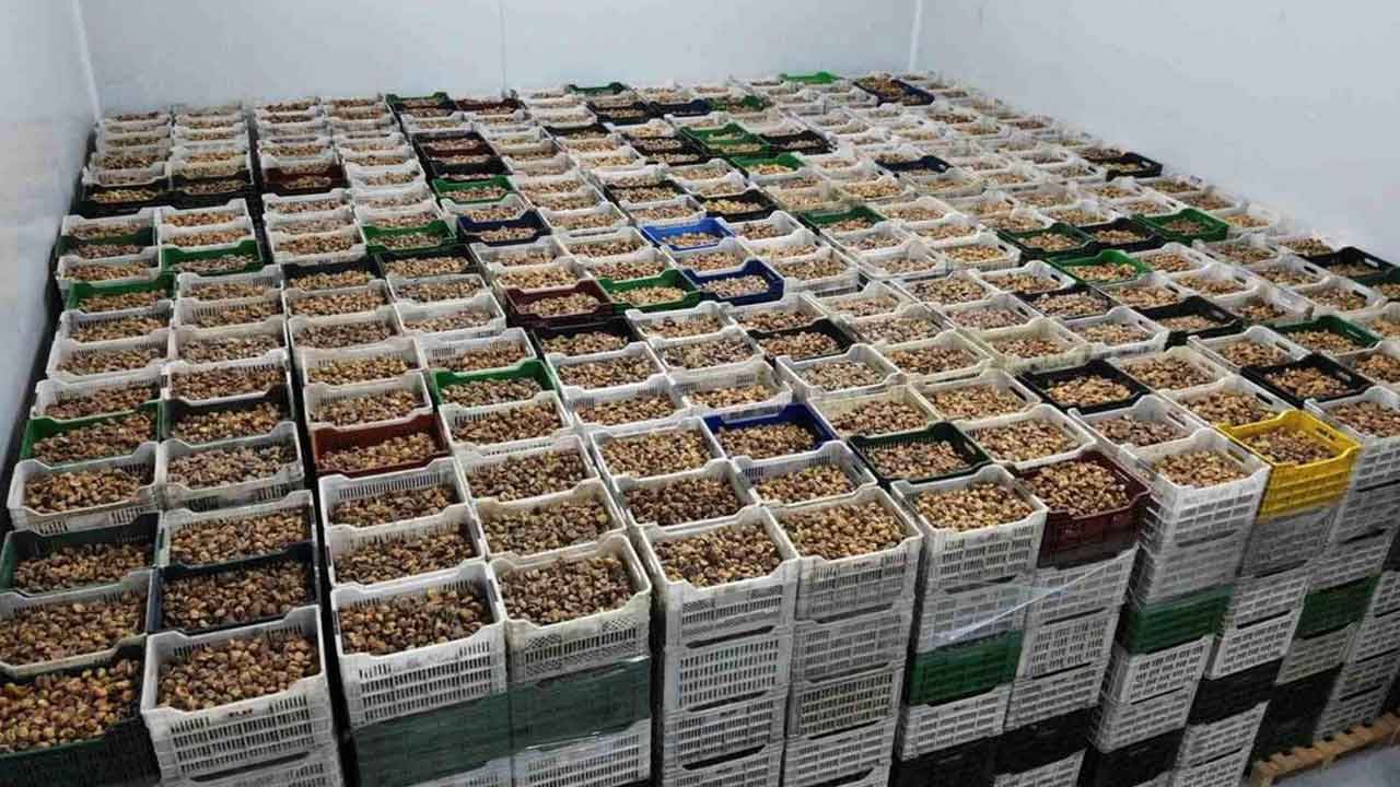 Türkiye sattı! Bulgaristan kapıdan geri çevirdi, 'bunu almayız' dedi