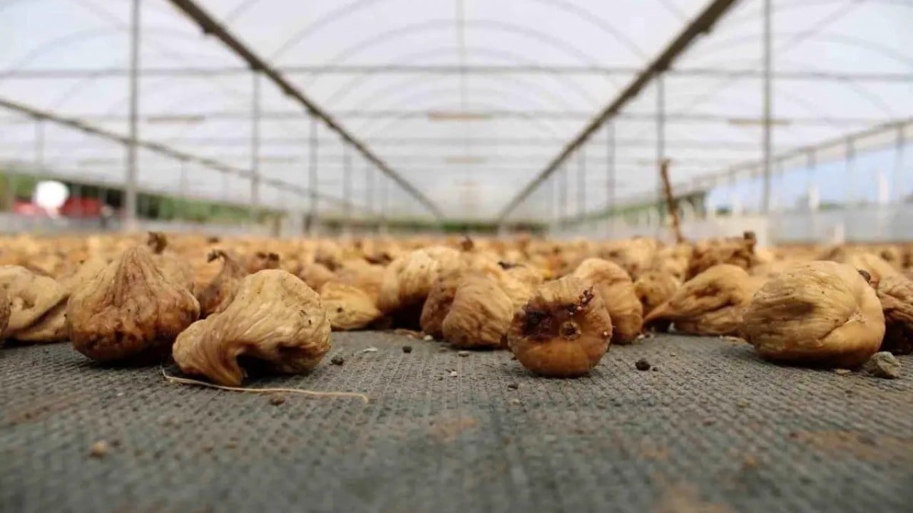 Foto - Türkiye sattı! Bulgaristan kapıdan geri çevirdi, 'bunu almayız' dedi