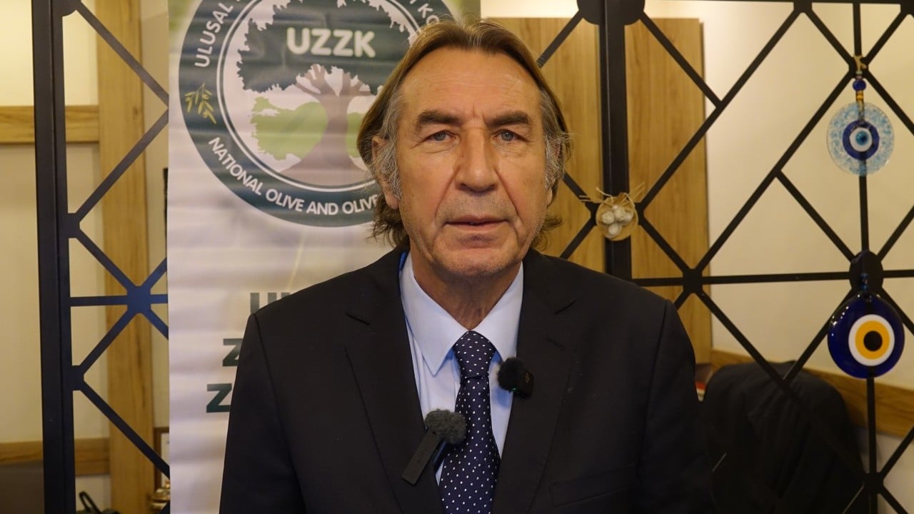 Türkiye'de zeytin rekoltesi bekleniyor: Üretici ülke Türkiye...