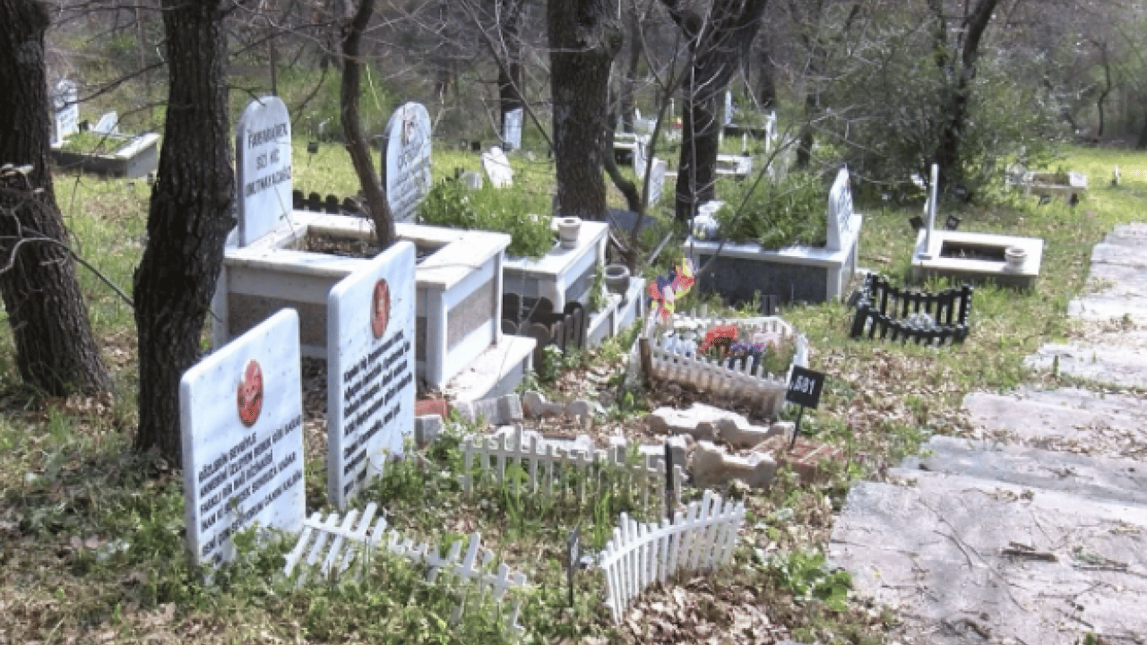 Foto - Türkiye’de benzeri yok! Bayramda ilgi odağı oldu