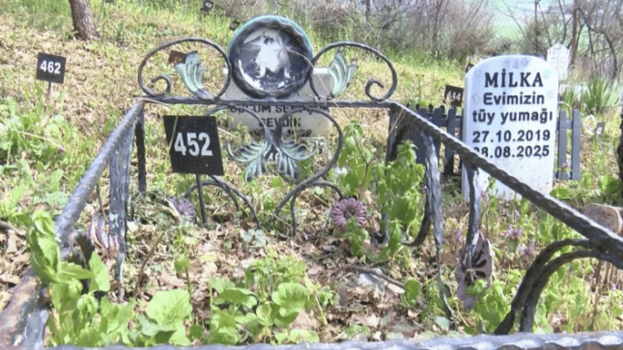 Foto - Türkiye’de benzeri yok! Bayramda ilgi odağı oldu