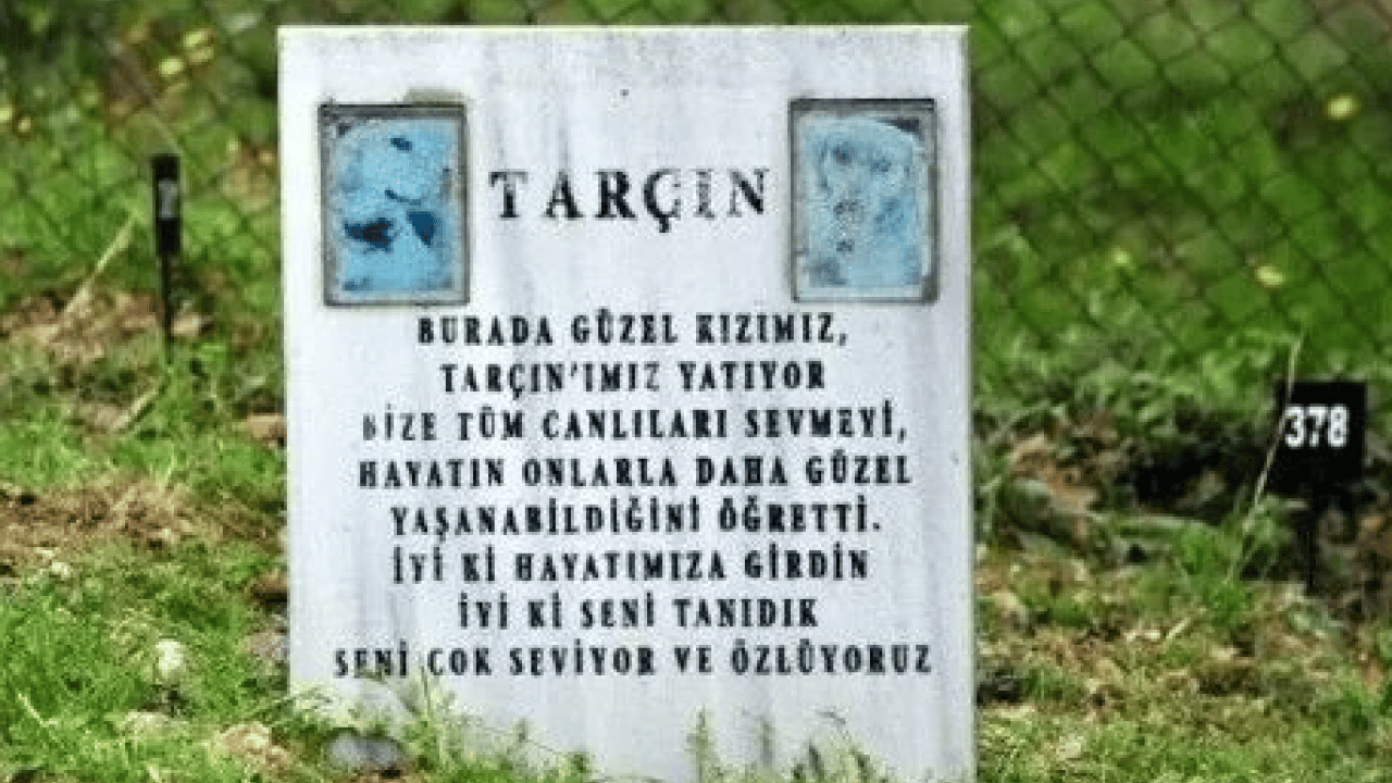 Foto - Türkiye’de benzeri yok! Bayramda ilgi odağı oldu