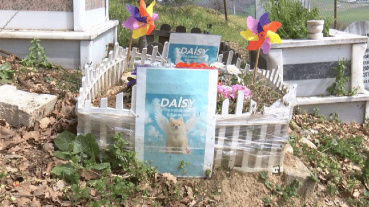 Foto - Türkiye’de benzeri yok! Bayramda ilgi odağı oldu