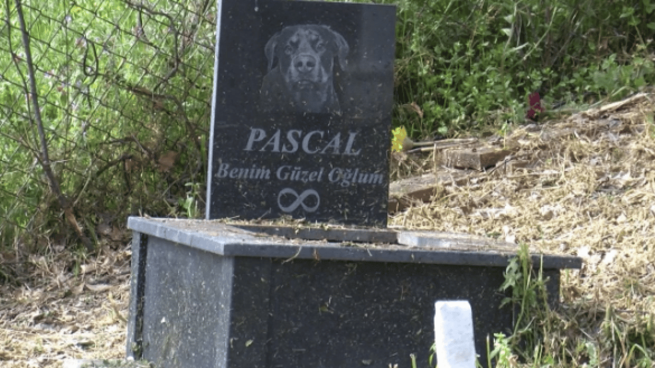 Foto - Türkiye’de benzeri yok! Bayramda ilgi odağı oldu