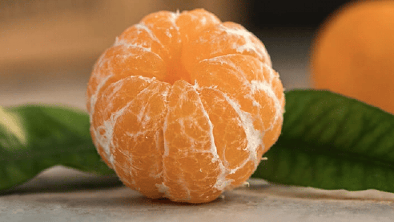 Foto - Türkiye'de çılgınlar gibi limon, mandalina, portakal almaya başladılar! Karadeniz'de fındığa artık alternatif oluyor