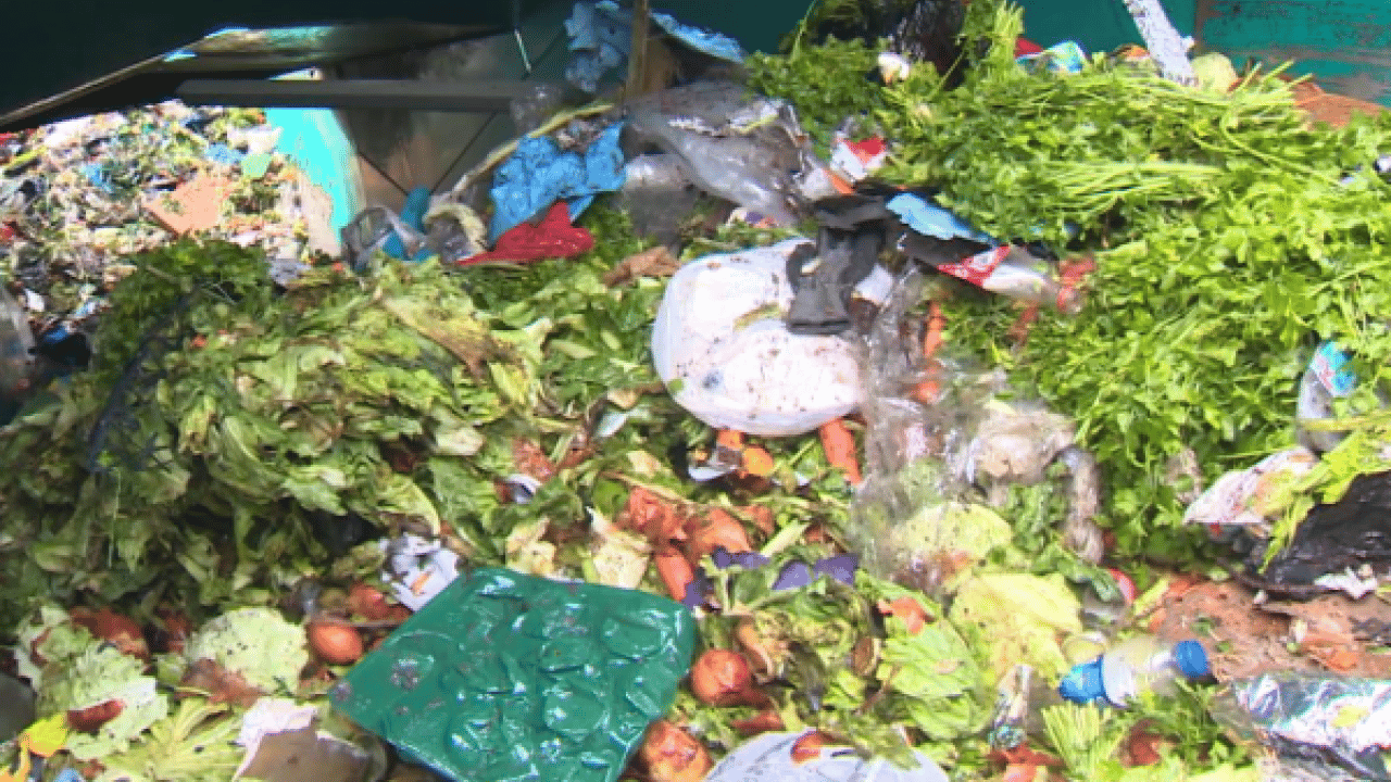 Türkiye'de durum içler acısı: Her 4'ünden 1'i çöpe gidiyor!