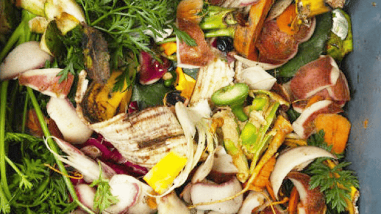 Foto - Türkiye'de durum içler acısı: Her 4'ünden 1'i çöpe gidiyor!