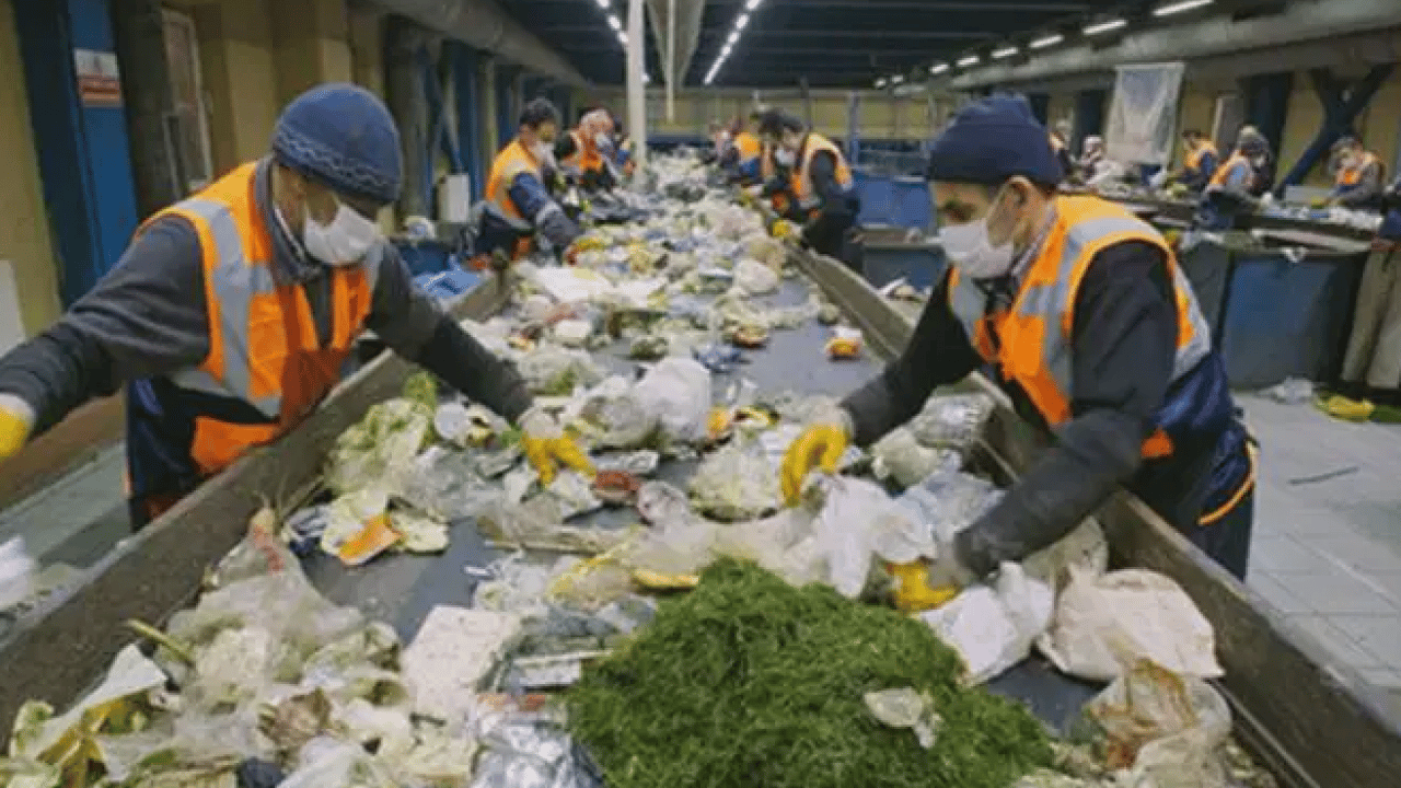 Foto - Türkiye'de durum içler acısı: Her 4'ünden 1'i çöpe gidiyor!