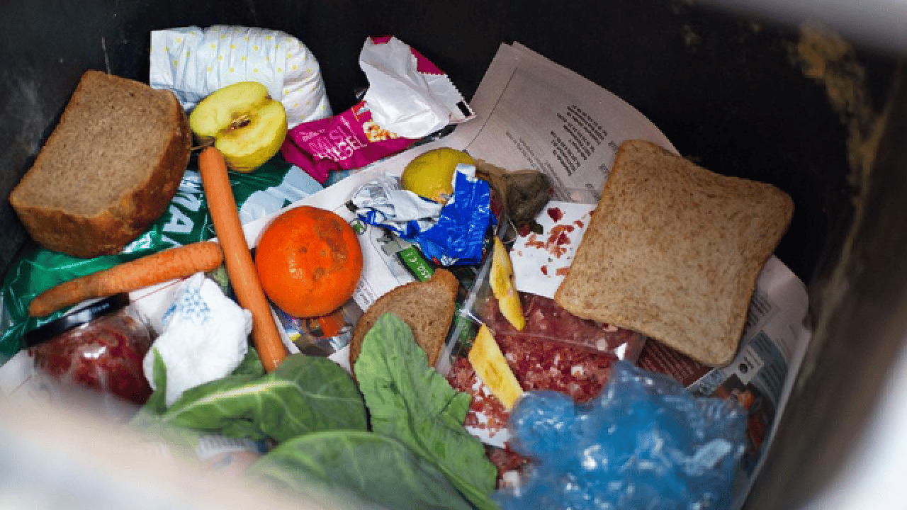 Foto - Türkiye'de durum içler acısı: Her 4'ünden 1'i çöpe gidiyor!