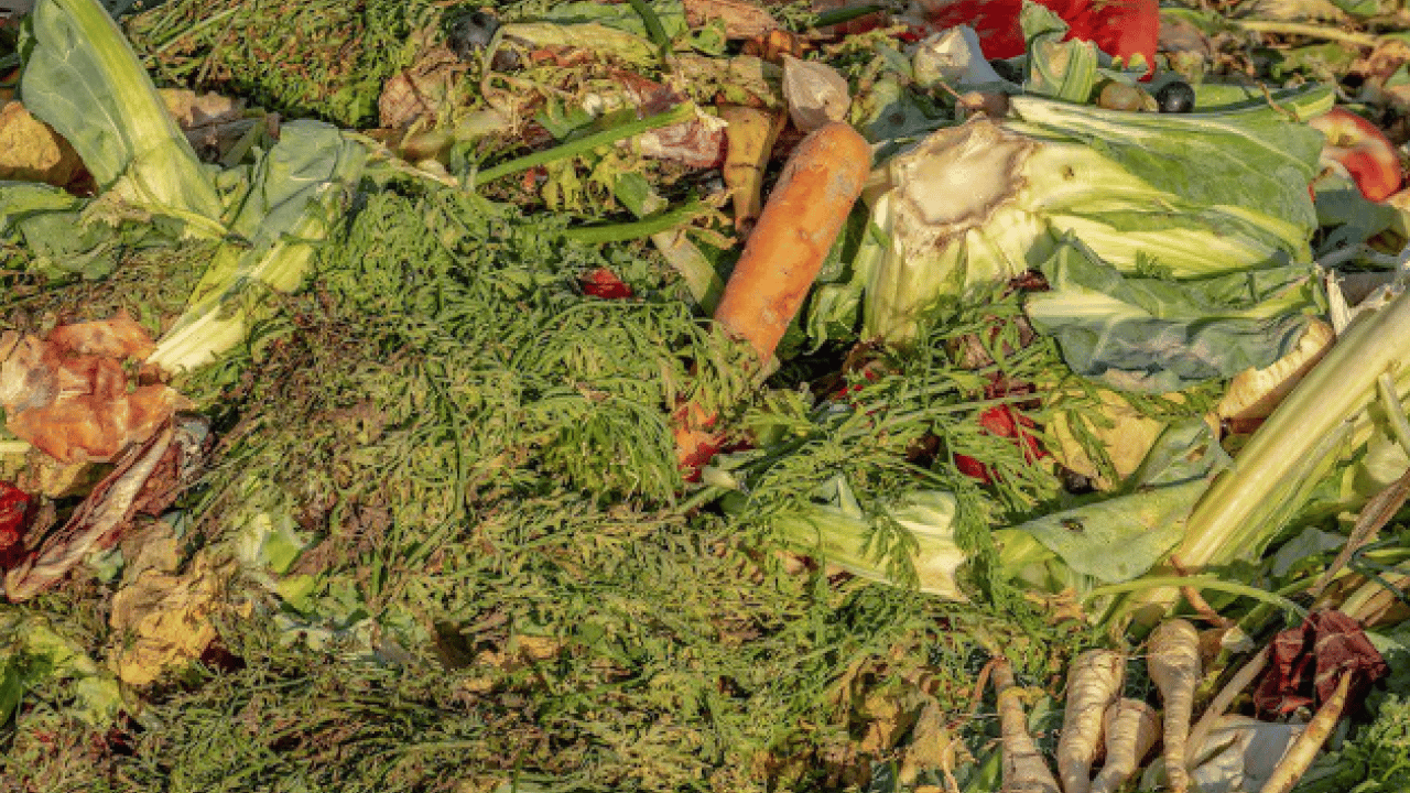 Foto - Türkiye'de durum içler acısı: Her 4'ünden 1'i çöpe gidiyor!