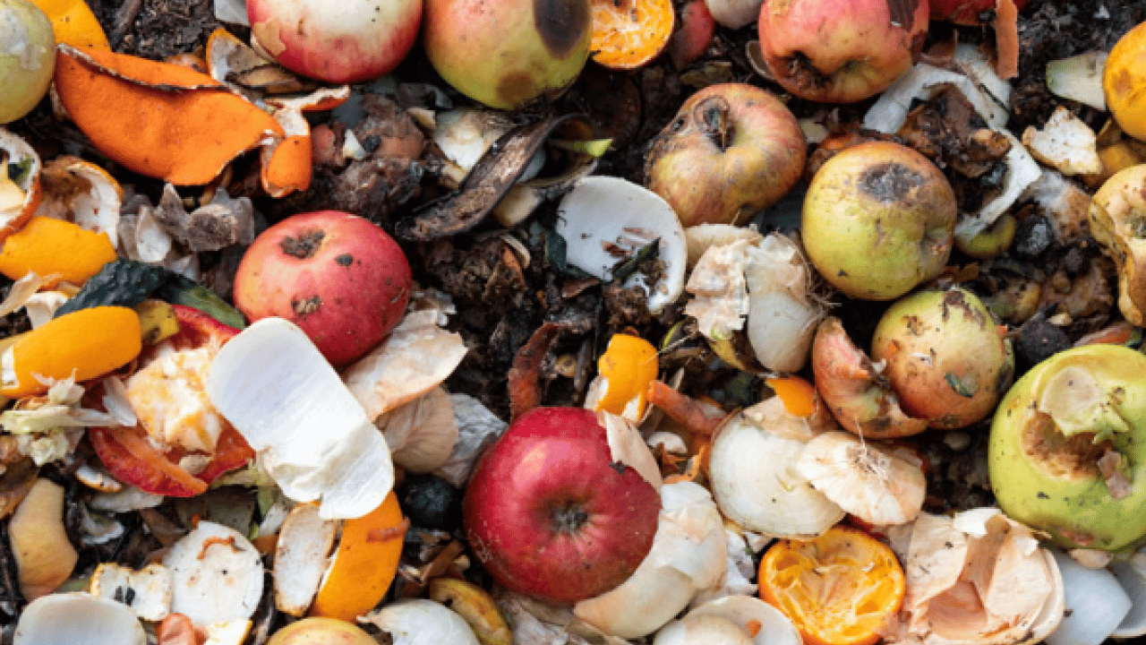 Foto - Türkiye'de durum içler acısı: Her 4'ünden 1'i çöpe gidiyor!