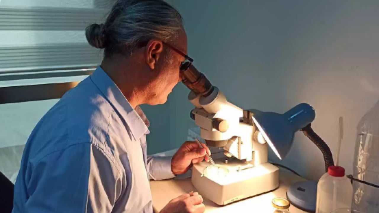 Foto - Türkiye'de ilk kez görüldü: Kırmızımsı mor renkte!