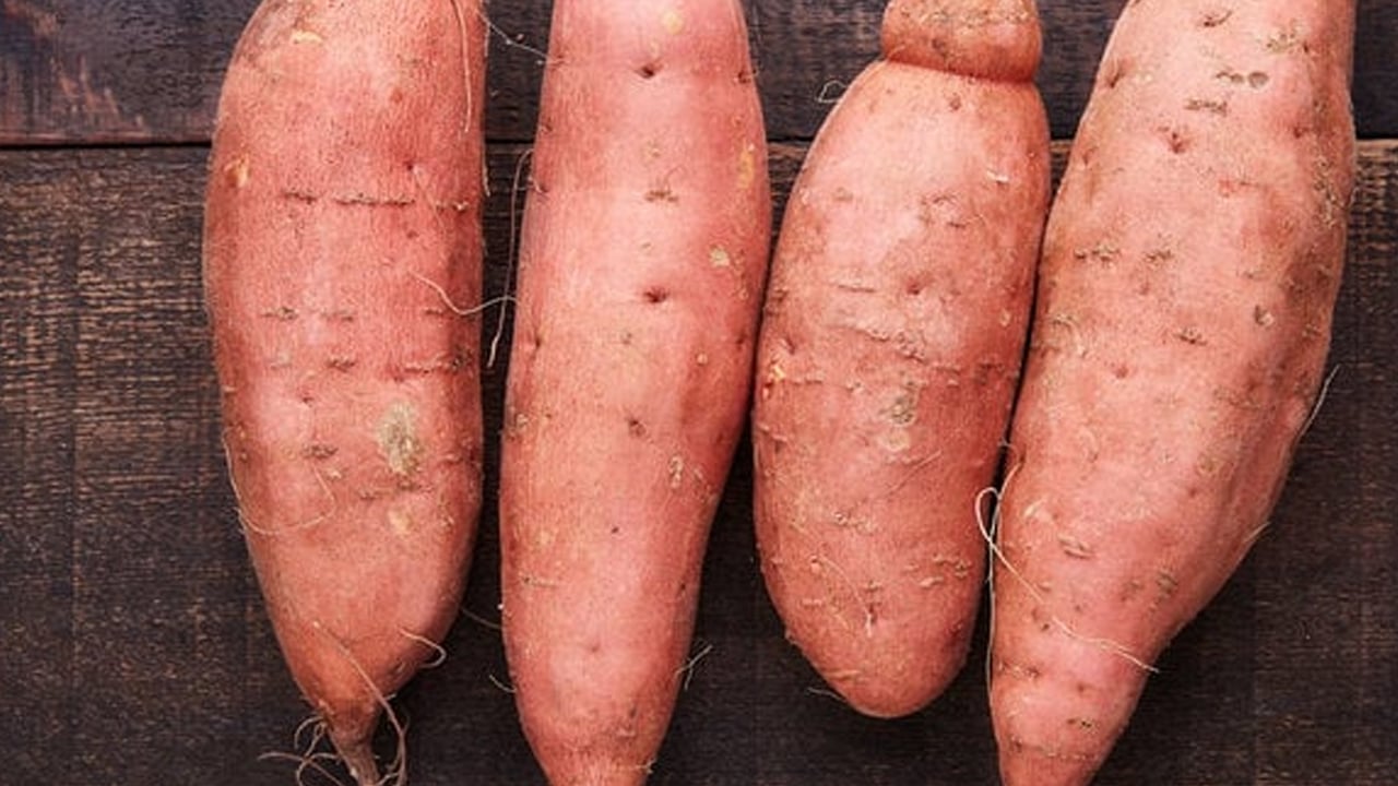 Foto - Türkiye'de tatlı patates hemen hemen herkesin mutfağına girdi! Fiyatı 35 lira! Alanya, Antalya, Adana'ya gönderiliyor
