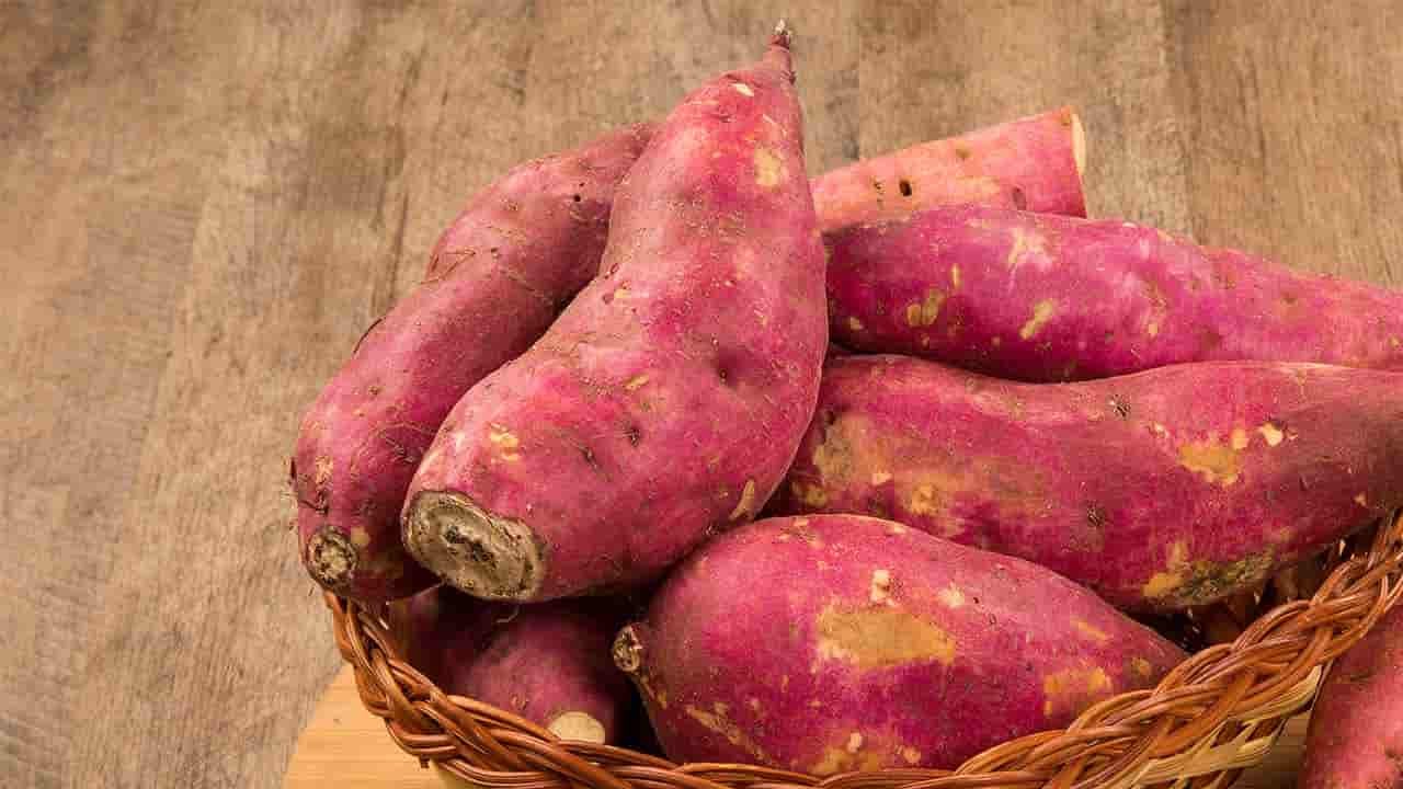 Foto - Türkiye'de tatlı patates hemen hemen herkesin mutfağına girdi! Fiyatı 35 lira! Alanya, Antalya, Adana'ya gönderiliyor